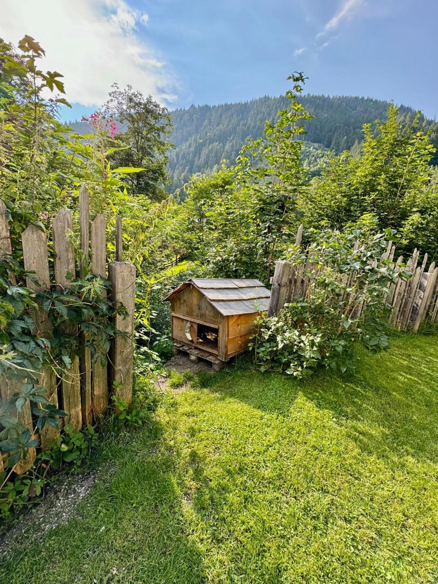 Appartement Haensel & Gretel Werfenweng Zewnętrze zdjęcie