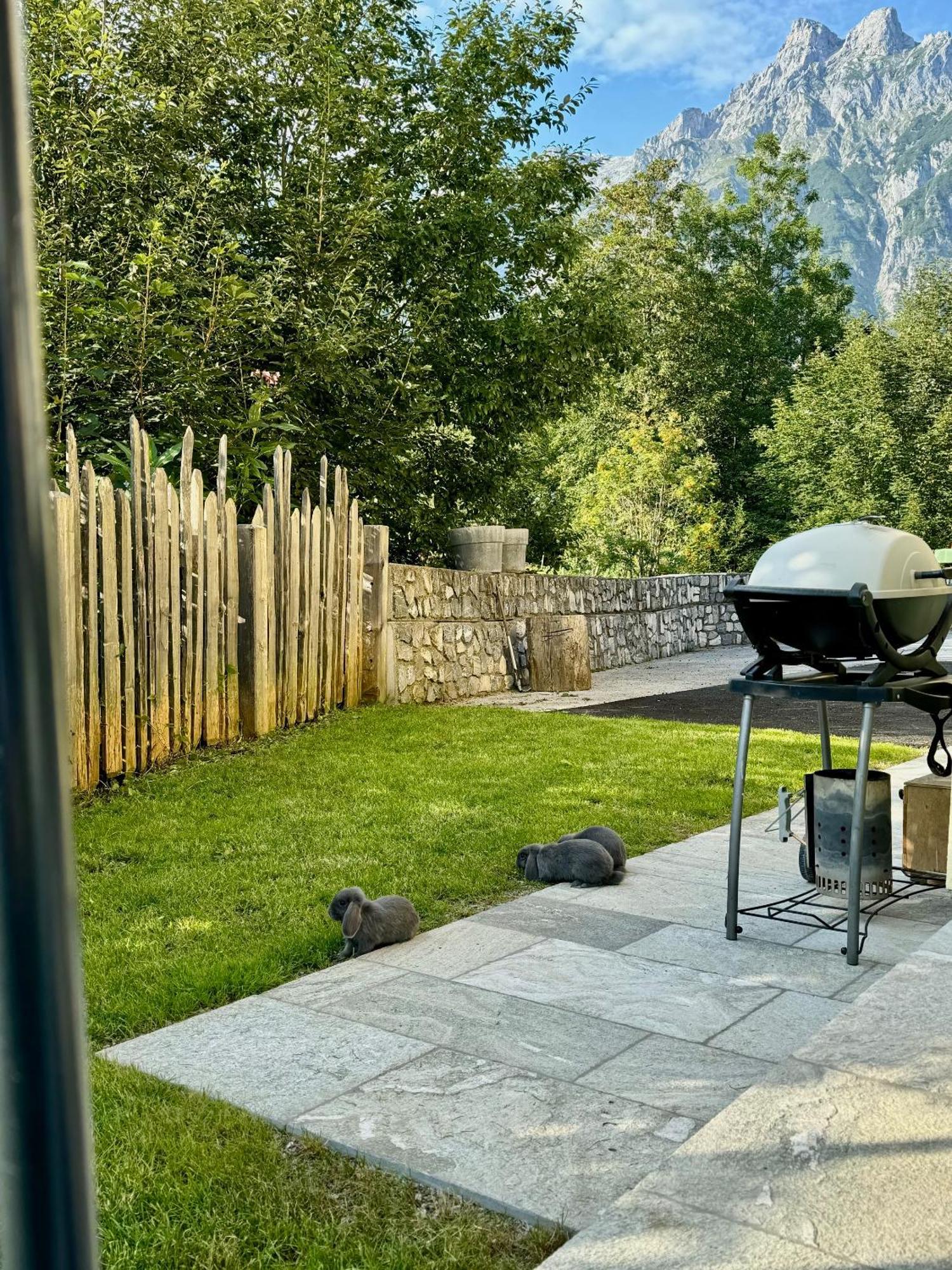 Appartement Haensel & Gretel Werfenweng Zewnętrze zdjęcie
